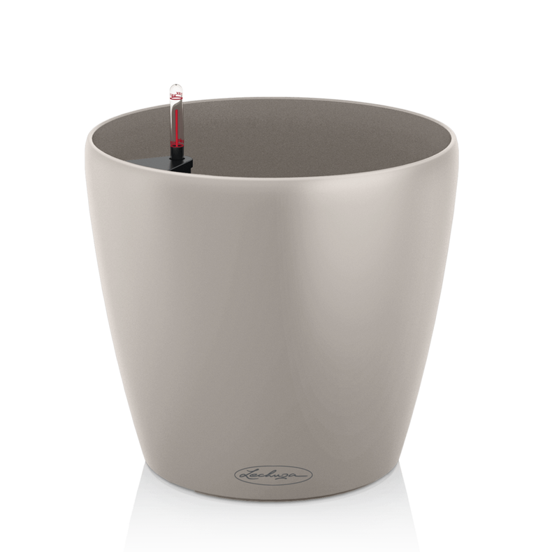 CLASSICO Color 18 sand brown